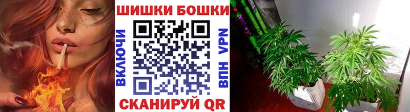 Сколько стоит Медвежьегорск Альфа ПВП ГАШИШ АМФЕТАМИН КОКАИН Каннабис