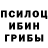 Псилоцибиновые грибы Psilocybine cubensis Sergey KulakOff