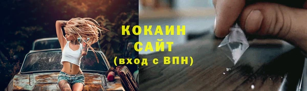 дживик Богородск
