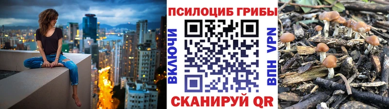 наркота МЕГА сайт Галлюциногенные грибы MAGIC MUSHROOMS Медвежьегорск